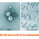 Illustration for article titled Tesla's Bioweapon Defense Mode Might Protect You From The Coronavirus